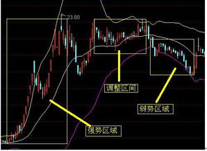 我想学炒股零基础请问应该怎么学