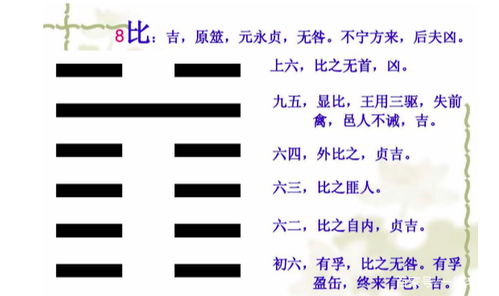 一德 水地比卦六四爻辞 外比 九五爻辞 显比 详解