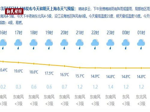 盼望着盼望着,上海终于入春了 