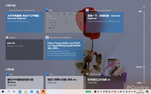 win10报名填不上怎么办