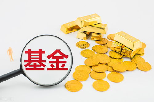 根据基金投资对象的不同，基金可以划分为什么