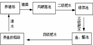 生物中同化量是什么