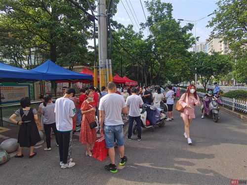 鄂州有哪几所高中 鄂州高中2021年升学率多少