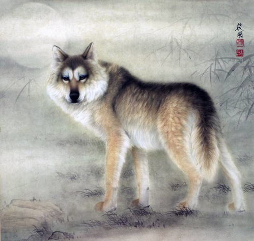 中国画精彩的动物工笔 欣赏美好