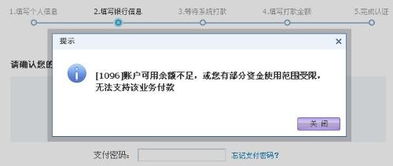 账户可用余额不足，或您有部分资金使用范围受限，无法支持该业务付款 是什么意思？