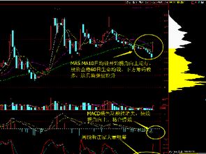 和曙光公司有关的上市公司有哪些