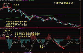 史上最强的 MACD信号一出,散户该逃命