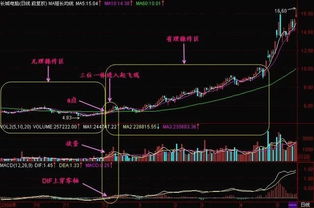 股票底部的量是怎么来的？