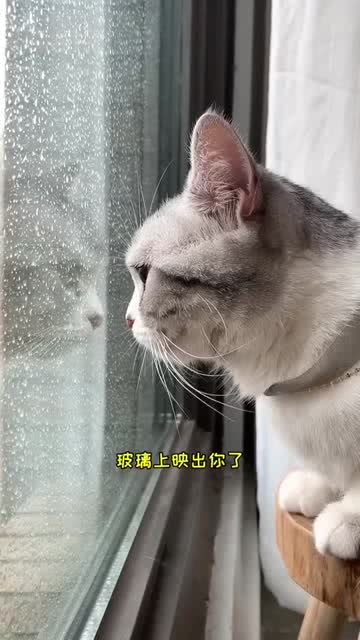 听说 下雨天和大扫除更配哦 