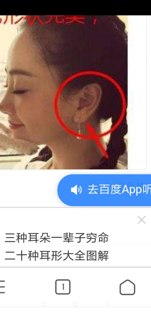 哪种耳朵长的比较好 