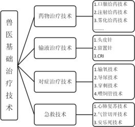 兽医基础知识(兽医基础知识总结)