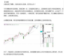 什么是主力？就是跟大岁数人的期望反着干的！