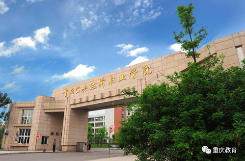 重庆有哪些专科大学公办的