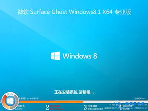 laptop2怎么安装专业版win10