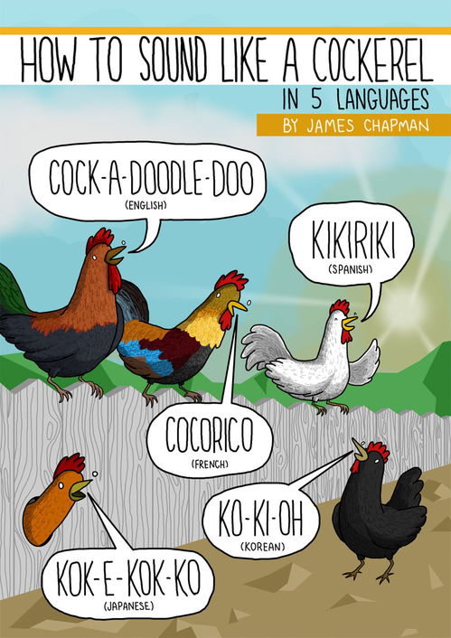 语言不一样动物的叫声也不一样