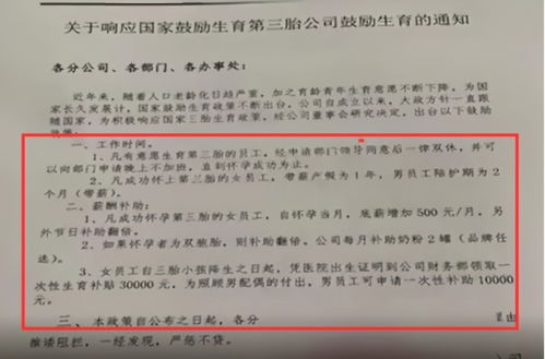 三胎政策,大多数人选择不生,厦大教授却提议 惩罚 不生孩子的