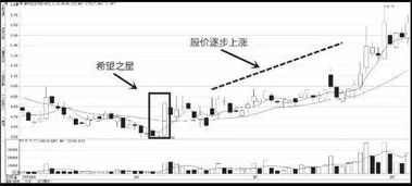 关于K线图最经典的书是哪几本？