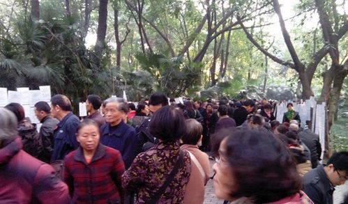 成都人民公园相亲角怎么加入(成都人民公园相亲角在哪里)