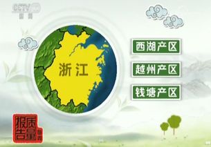 诚信速递 龙井,还是陷阱 产地不符,等级虚标 有些甚至农药残留超标