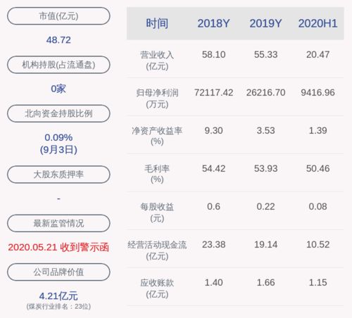 昊华能源的十大股东