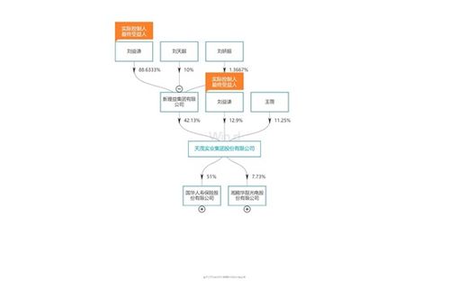 参股公司之间吸收合并应当履行哪些程序