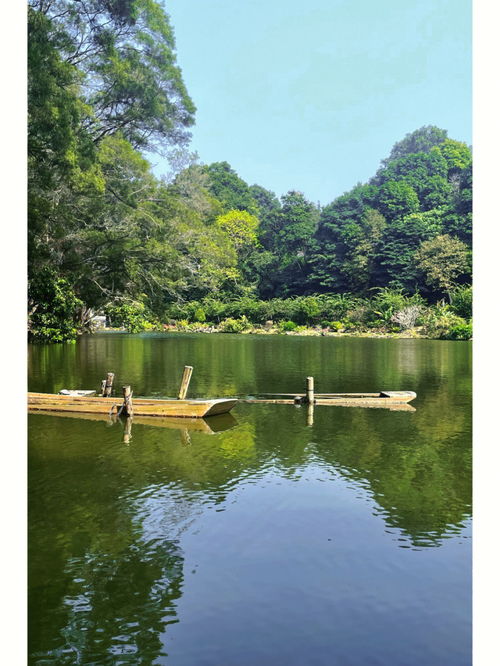 深圳一日游 仙湖植物园 弘法寺 