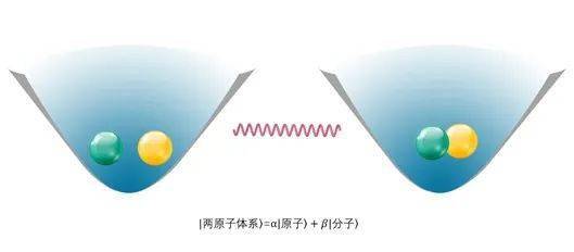 会员动态 ZIAD牵头承担的浙江省重点研发计划项目顺利通过验收