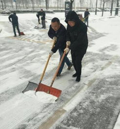 一股热情融化茫茫白雪,消冰除雪,曲江新区做的比说的好