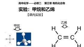 03乙烯