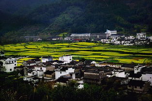 婺源旅游婺源的最佳旅行季节是什么时候 