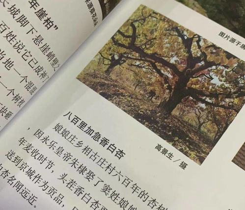 窦姓和豆姓是一样吗