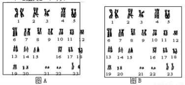 如图是鸟卵结构示意图.下列有关叙述错误的是 A.①可为胚胎发育提供氧气B.③含有细胞核是胚胎发育场所C.④.⑦为胚胎发育提供营养物质D.⑤为胚胎发育运输营养物质 