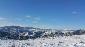 明月皎皎伴雪舞，绘世间纯净美好，明月皎皎意思