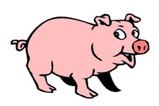 1983年出生的属猪的人2019年运程