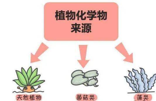 蔬菜水果里的植物化学物,您了解多少呢