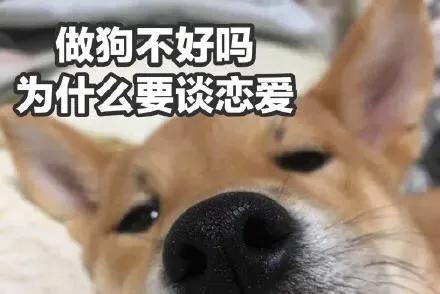 为什么跟天蝎容易日久生情