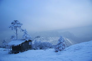 关于雪雨的诗句