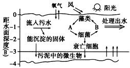 窦店村综合发展生态工程作为我国农村生态工程的样板在全国推广.这是由于该生态工程A.以实施沼气工程为中心B.建立了良好的物质多级循环利用程序C.创造了较多的劳动力就业机会 