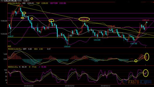 3月23日现货黄金 白银 原油 外汇短线交易策略 