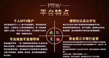 PTFX外汇托管登录 PTFX外汇托管是什么意思