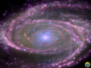 螺旋星系M81 