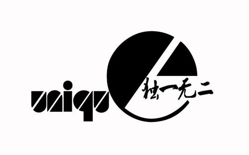 独一无二 UNIQU E商标注册第2类 颜料油漆类商标注册信息查询,独一无二 UNIQU E商标状态查询 路标网 