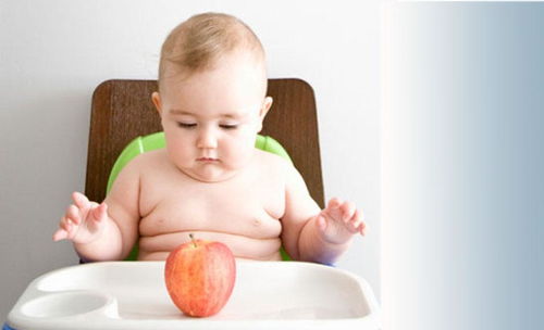 宝宝过度肥胖要早预防,合理搭配膳食很重要