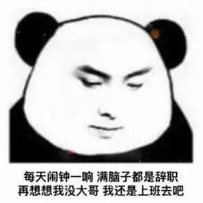 近期抖音最火熊猫表情