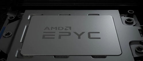 AMD