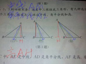 麻烦各位，过顶点A画出中线、角平分线和高。怎么画？