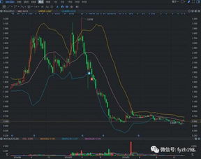 在股市里怎样的情况会血本无归