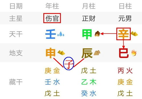 张一山八字命格分析