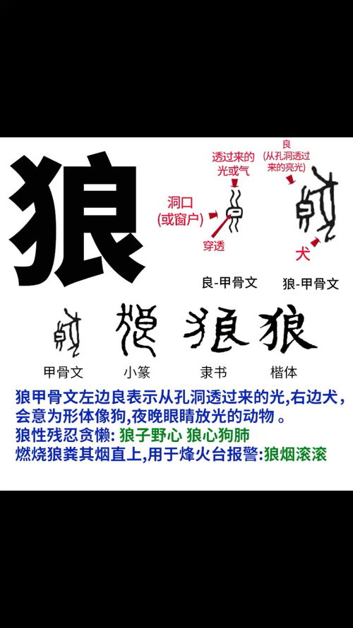 狼心狗肺造句游戏  狼字可以怎么组词？