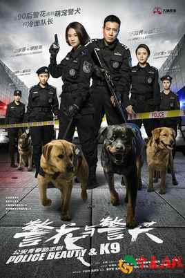 神犬小七第二季和警花与警犬收视率对比哪个收视率更高
